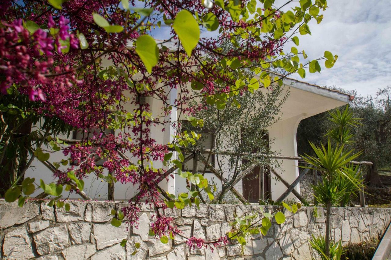 Village Valle D'Oro Aparthotel San Menaio Exteriör bild